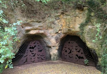 Trail Walking Heers - Les grottes de Henisdaal à Vechmaal - Photo