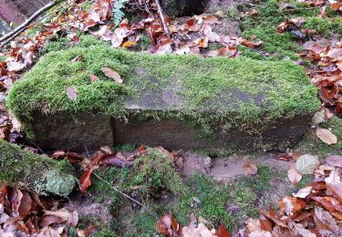 Randonnée A pied Böblingen - DE-SAV Blauer Punkt, Böblingen Lange Schläge - Katzenbacher Hof - Büsnau - Photo