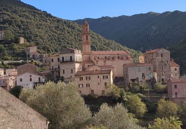 Tour Wandern Omessa - Boucle de Sant Angelo ou Boucle des Chapelles  - Photo