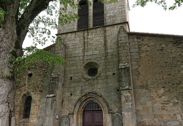 Excursión A pie Olmet - Le Chateau de la Faye - Photo