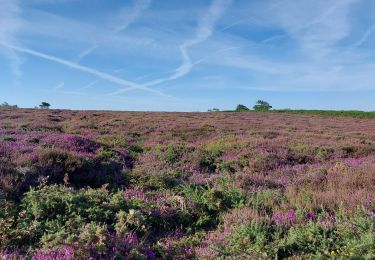 Randonnée Marche Plévenon - BOUCLE DEPUIS PLENEVON AVEC CAP FREHEL ET FORT LA LATTE - Photo