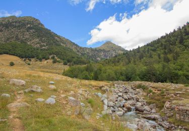 Tocht Te voet Vielha e Mijaran - Camí Natural del Port de Vielha - Photo