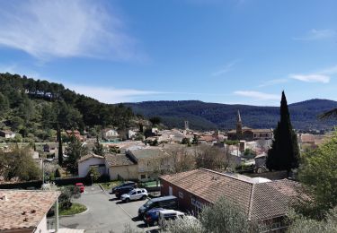 Tocht Stappen Cuges-les-Pins - Cuges les Pins - Jas de Sylvain  - Photo