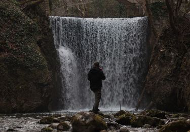 Tocht Te voet Montella - Sentiero dello Scorzella - Photo