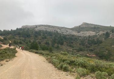 Trail Walking Allauch - Allauch - Photo