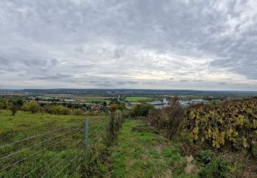 Trail Walking Les Authieux-sur-le-Port-Saint-Ouen - 20241015-sotteville sous le val - Photo