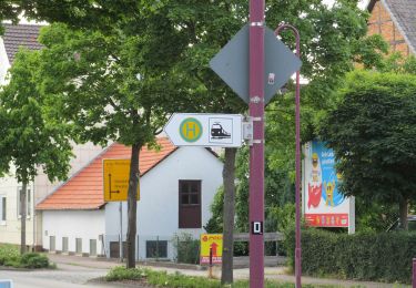 Tocht Te voet Kaufungen - Kaufungen, N3 - Gelber-Berg-Weg - Photo