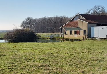 Trail Road bike Paron - 133 S80 Villeneuve sur Yonne-02 - Photo