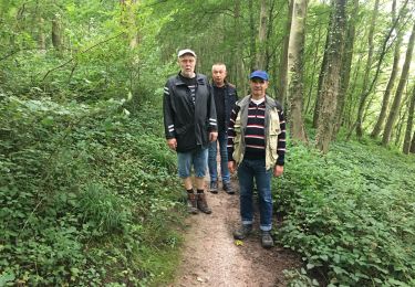 Tocht Stappen Thuin - Abbaye d’Aulne  - Photo