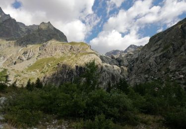 Trail Walking Vallouise-Pelvoux - 05-pre-Mme-Carle-glacier-noir-8km-600m-aout21 - Photo