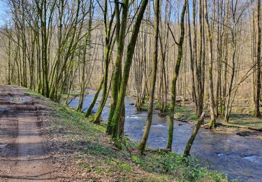 Tocht Stappen Daverdisse - Daverdisse - Du Gaudru - G1 - Photo