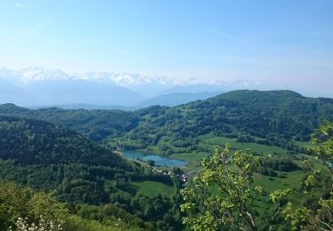 Tour Wandern Puygros - Pic de la Sauge - Photo