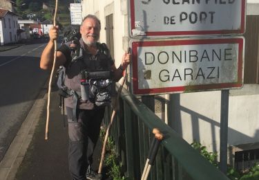 Tocht Fietstoerisme Saint-Jean-Pied-de-Port - Francés0 ST-JEAN PdP > PAMPLONA (84) - Photo