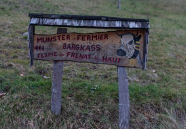 Excursión Senderismo Le Ménil - Le Ménil - Balade des deux chapelles - Photo