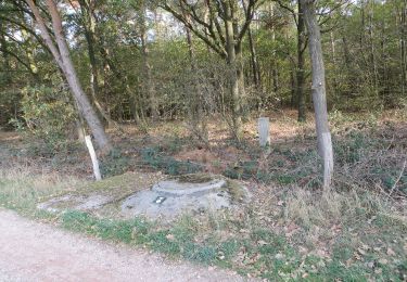 Randonnée A pied Brüggen - Rundweg A9 Dassenberg - Photo