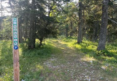 Trail Walking Saint-Agnan-en-Vercors - Veymont pré râteau  - Photo