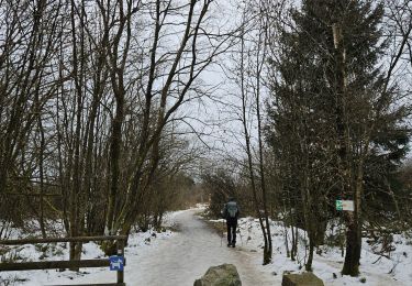 Tour Wandern Weismes - Hautes-Fagnes ❄️☃️ - WM1 🟦 - Photo