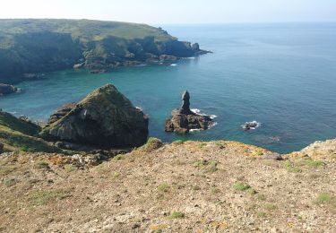 Tocht Stappen Locmaria - Belle-Île lokmaria 2019  - Photo