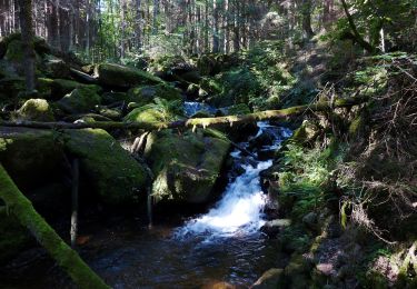 Randonnée A pied Loučovice - Opatská stezka II - Photo