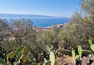 Randonnée A pied Ajaccio - Sentier des Crêtes Ajaccio et Grotte N - Photo