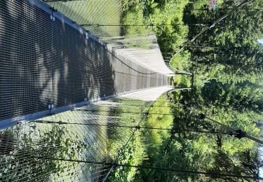 Randonnée Marche Nozeroy - Moulin du Saut 20230714 - Photo