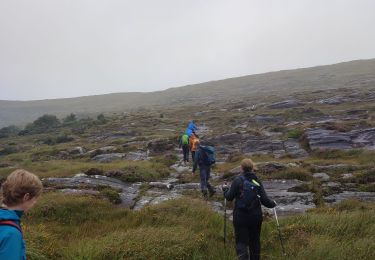 Randonnée Marche West Cork - Ardgroom -  Eyeries - Photo