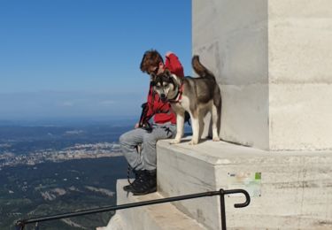 Percorso Sentiero Saint-Antonin-sur-Bayon - Rouge Sainte Victoire - Photo