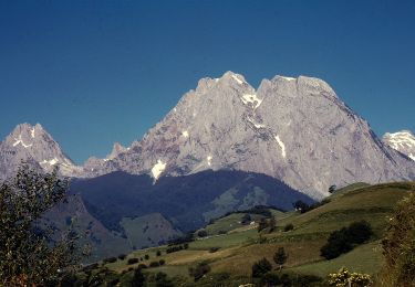 Tocht Te voet Lées-Athas - Chemin d'Esquit à Lescun asp46 - Photo