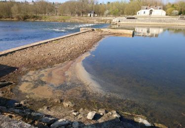 Excursión Senderismo Saint-Georges-sur-Cher - Saint-Georges-sur-Cher - 2015 12 19 - Photo