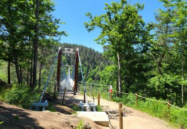 Trail Walking Grazac - Grazac la passerelle  - Photo