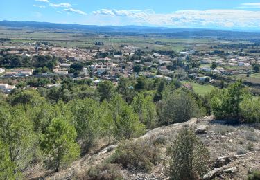 Excursión Senderismo Conilhac-Corbières - Conilhac / Porte-t-elle ( Reco) - Photo