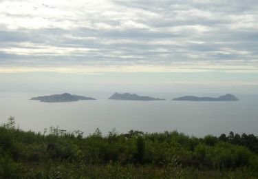 Excursión A pie Vigo - Sendeiro Local de Saiáns - Photo