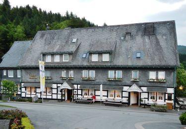 Tour Zu Fuß Schmallenberg - Waldarbeiter- und Försterpfad - Photo