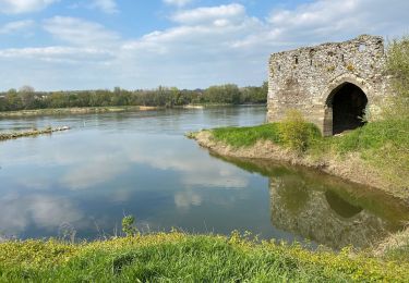 Excursión Senderismo Orée-d'Anjou - Le prieuré Champtoceaux  - Photo