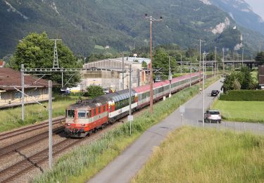 Tocht Te voet Walenstadt - Walenstadt - Pluder - Photo