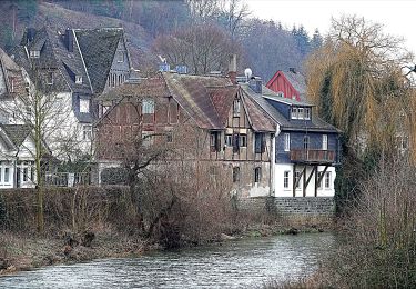 Trail On foot Herborn - H6 Homberg-Weg - Photo