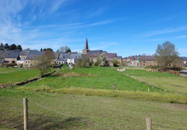 Tocht Stappen Gedinne - Willerzie 190425 - Photo