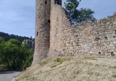 Randonnée Marche Lagrasse - Lagrasse - Sainte Carla - forêt  - Photo