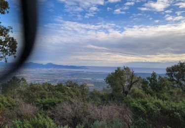 Percorso Marcia Roquebrune-sur-Argens - La flute par Anne Marie C. - Photo