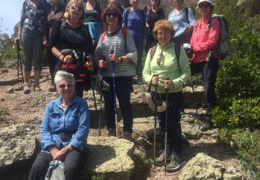 Tour Wandern Fréjus - Les adrets  - Photo