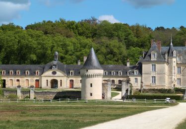 Tocht Stappen Continvoir - Continvoir - GRP Coteaux de Bourgueil - Gizeux - 28.5km 345m 6h20 (1h) - 2025 04 17 - Photo