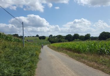 Randonnée Vélo de route Montenay - 10 août 2019 montenay  22°c - Photo