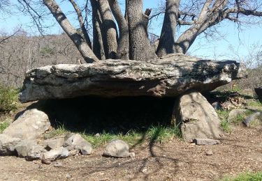 Trail Walking Saint-Nectaire - Saillant_St_Nectaire - Photo