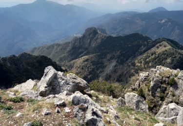 Excursión Senderismo Utelle - Le Brec d'Utelle 1604m 19-04-22 - Photo