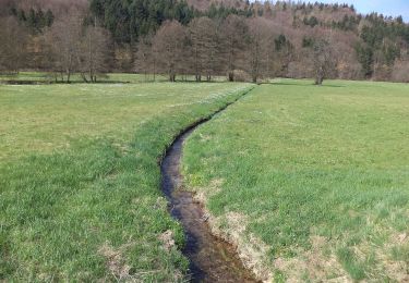 Tocht Te voet Bad Soden-Salmünster - Mernes - Wanderweg Apfel - Photo