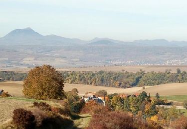 Trail Walking Sauvagnat-Sainte-Marthe - ITI0579 - Photo