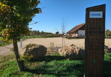 Percorso Marcia Neuillé-le-Lierre - Neuillé-le-Lierre - Étang de l'Archevêque - 21.4km 180m 4h45 (35mn) - 2022 11 11 - Photo