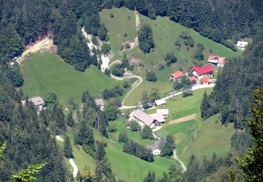 Tour Zu Fuß Eisnern - 122 ~ Pot kurirjev in vezistov NOV Slovenije - Photo