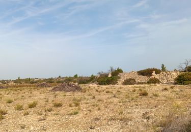 Tocht Stappen Leucate - leucate - la franqui (via le plateau) - phare (via la falaise) - leucate (via le plateau) - Photo