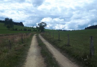 Randonnée Marche Butgenbach - Butchenbach - Bullingen - Photo